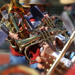 Picture of Te pa tikou vredi