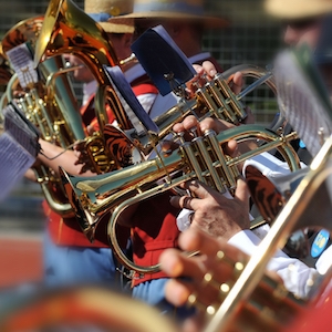 Picture of Te pa tikou vredi