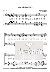 Bild von Es ist so schön ein Musikant zu sein